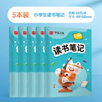 [Модель B5] 5 упаковок