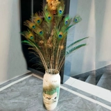 Истинное павлинное перенос