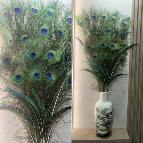 Истинное павлинное перенос