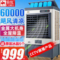 Camel air cooler Industrial water-cooled air conditioner Mobile environmental protection air conditioner fan Internet cafe workshop single cooling fan Water air conditioner