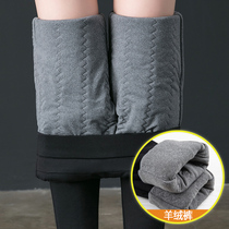 Autumn and winter cashmere Padded cashmere leggings Lady fat mm middle-aged mother wearing high waist warm pants cotton pants women