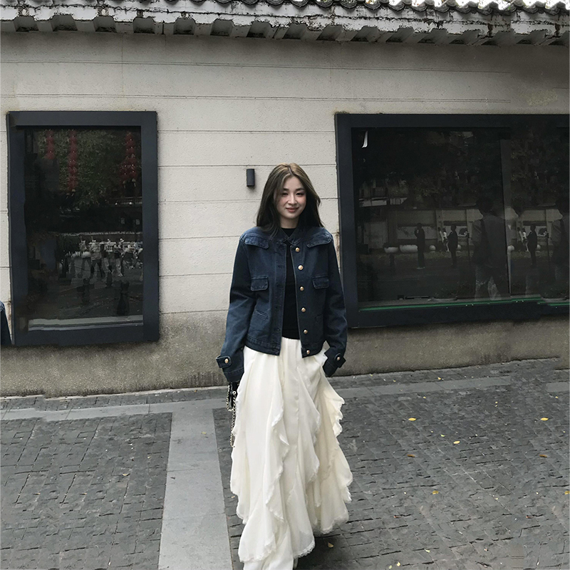 Fall 2026 Super Stylish Short Denim Jacket with Stand Collar and Korean Old Money Style for Women, Petite Size
