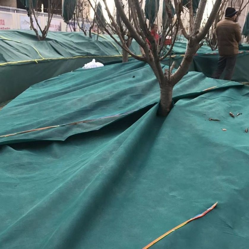 Windproof and cold-proof warm non-woven cloth anti-freeze landscaping seedlings warm dark green cold-proof cloth