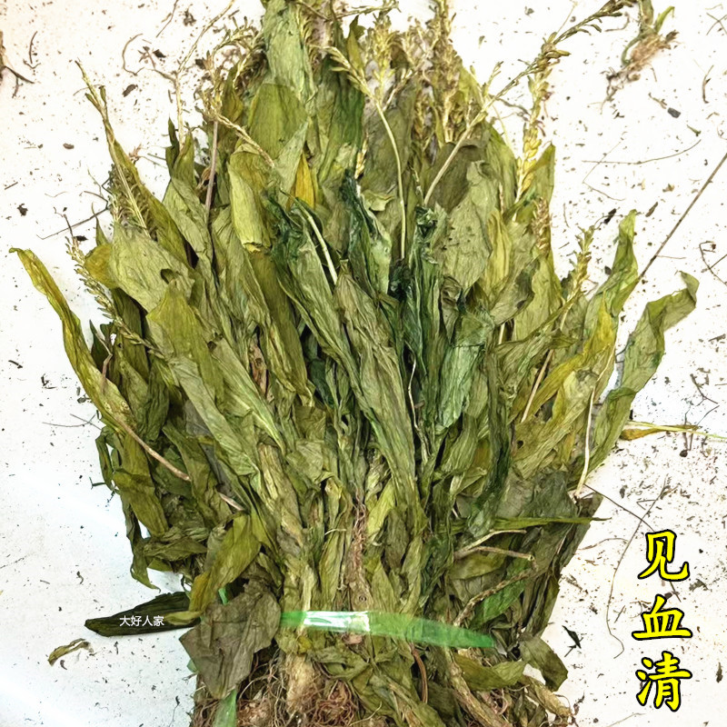 Yunnan Wild Growth See Serum Herbal Dried Goods Not Guangxi's See Serum Chinese Herbal Medicine 