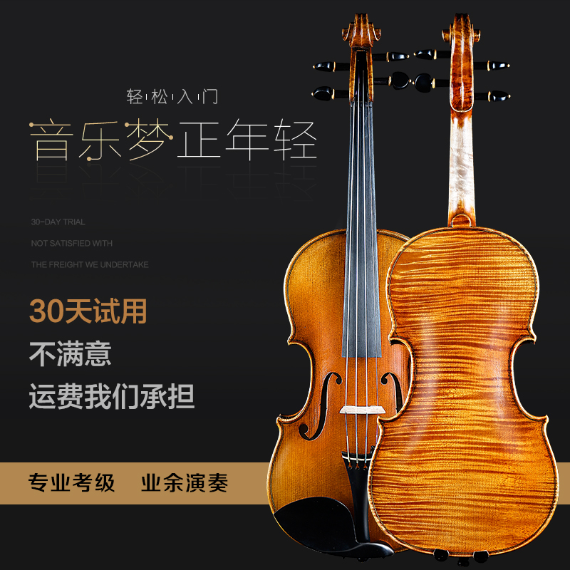 Zoryan Italian Craft Handmade Solid Wood Professional Beginner Exam Grade Performance Grade Single Board Violin