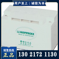 HOPPECKE Holbeck SB-1712V17AHEPS DC Screen Special Pine Tree Battery Computer System