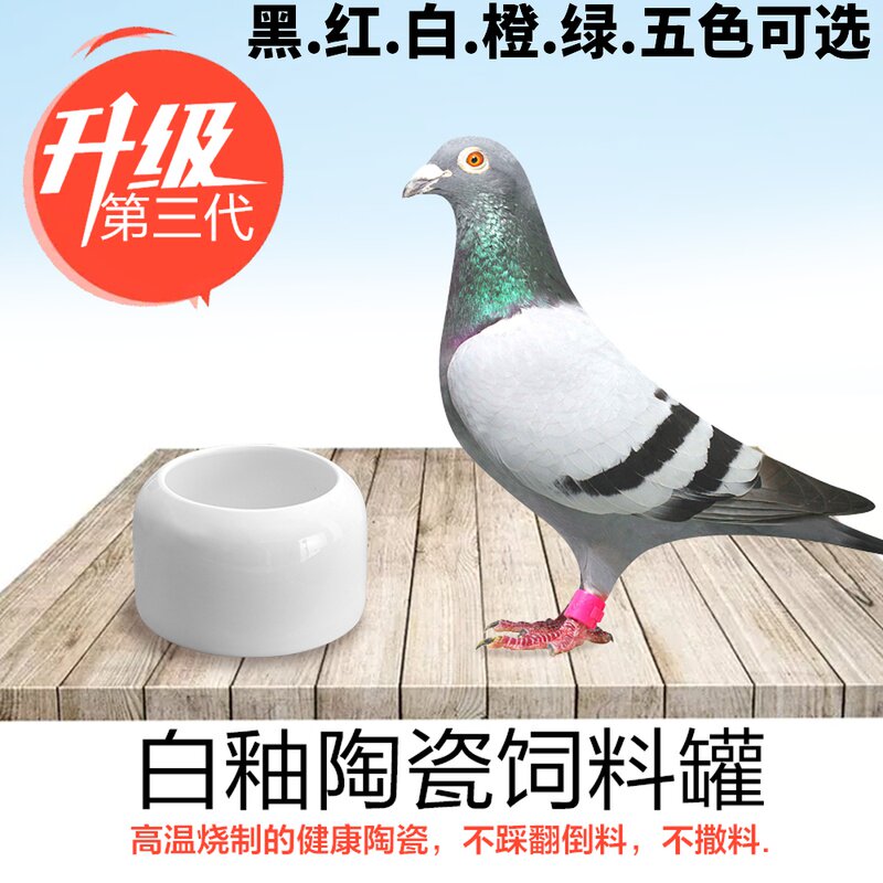 Letter Pigeon Racing Pigeon Anti-Sprinkles ceramic Trough Eating Pot 8 Gothic Parrot Sink Water Basin Bird Jars Pigeon Supplies Utensils