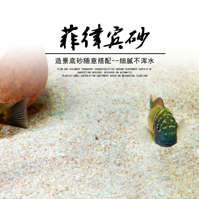 Philippine sand sand sand sand sand tank decorated with view of the sea tank three lake fish resident crab solid sand No. 3