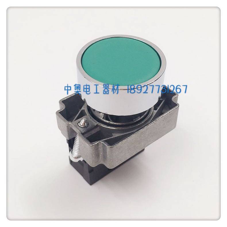 Golden Alice Schneider type green flat head button switch JHB2-101 aperture 22mm