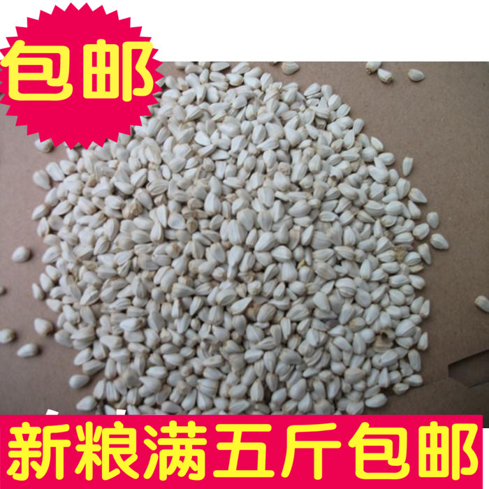 New food safflower seeds safflower seeds white melon seeds Hamster parrot bird food is a pound full of 5 pounds