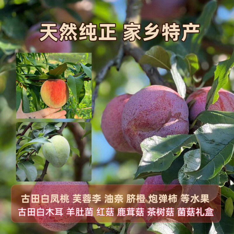 寄相思古田特产美食的LOGO