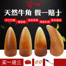 Horn Guzheng nail groove double arc thickened natural material Professional adult beginner childrens trumpet