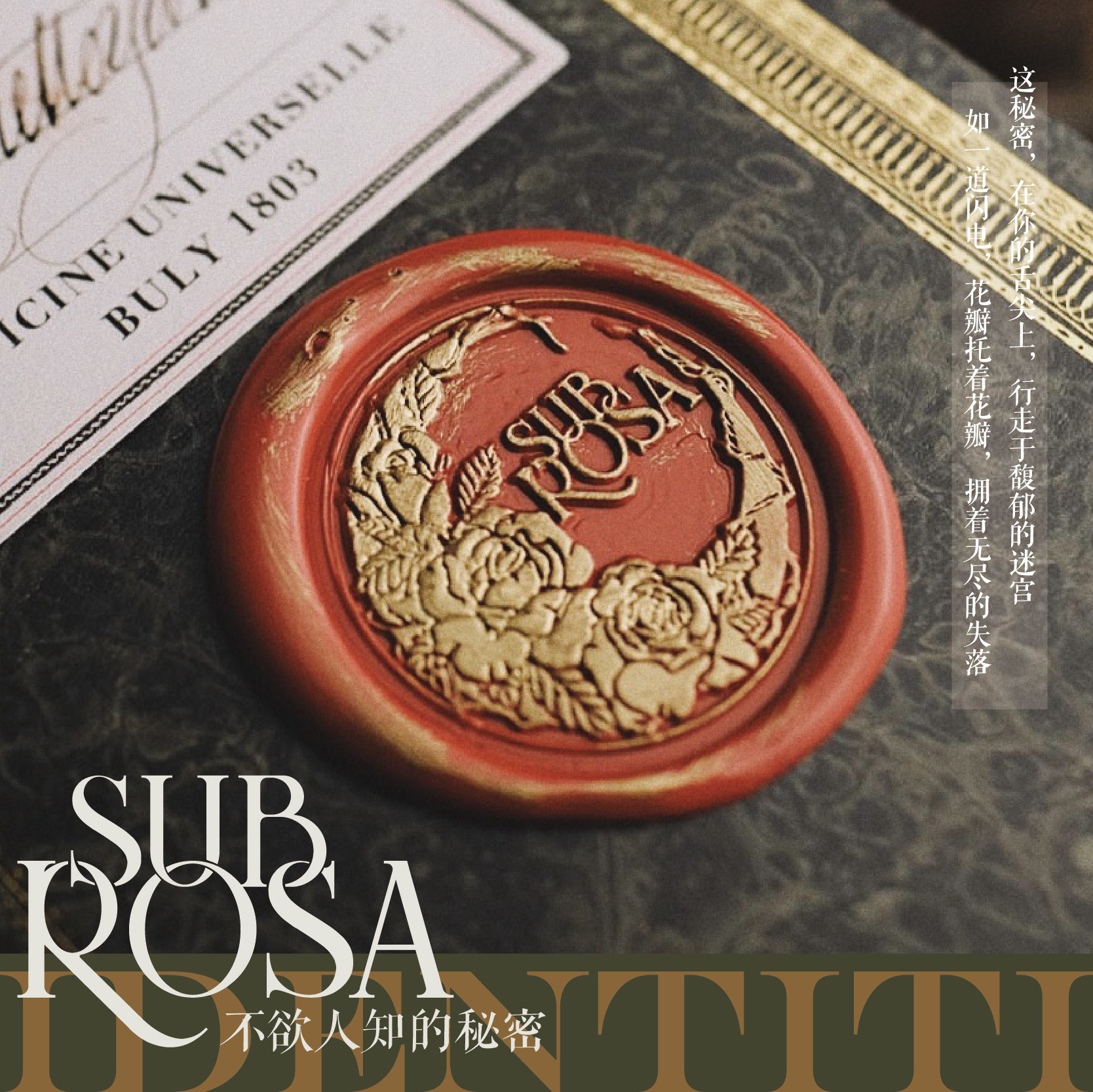 Sub Rosa Unwanted to Know Secrets ) The Rose printed printed paint printed