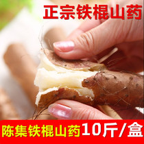  Authentic Chenji iron stick yam hardcore Huai Shan medicine fresh vegetables 10 kg gift box Shandong Heze specialty