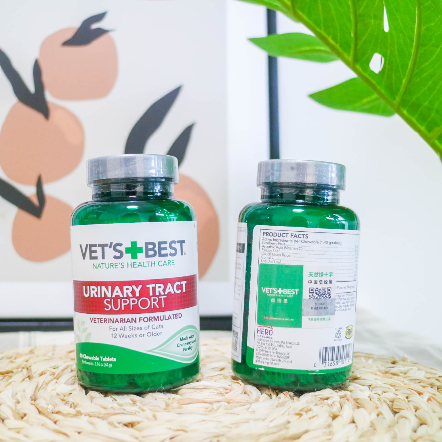 Bubble Cat Natural Vets Best Green Cross Urinary Tablets Cat Urinary System Health Care Tablets 60 Tablets