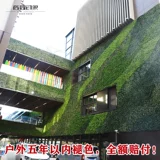 Моделирование зеленое растение стены стены наружная стенка Украшение