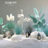 Моделирование тростниковой травы ландшафтной внутренней гостиной магазин магазин окна