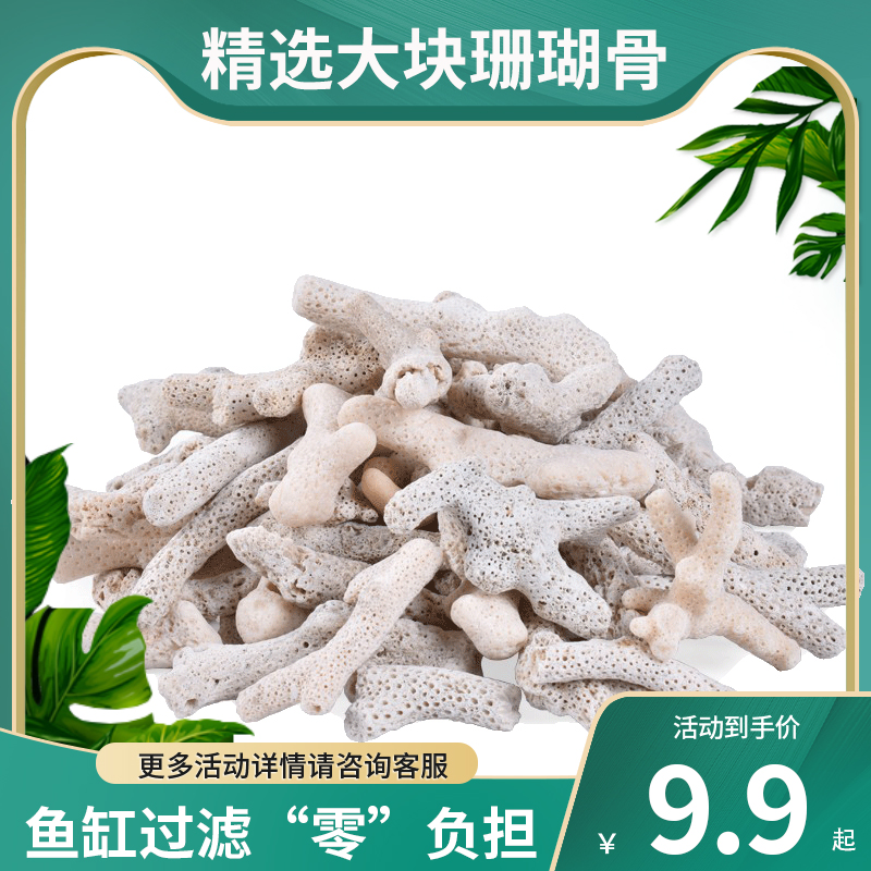 Large piece of coral bone filter material fish tank filter material aquarium building with good quality pure natural coral stone bottom sand-Taobao