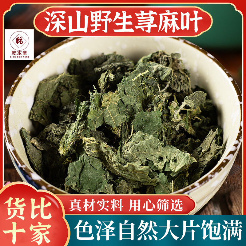 Wild Nettle Leaves, Authentic Chinese Medicinal Herbs, Nettle Grass, Fire Nettle Leaves, Small Nettle, Small Snake Grass, Biting Grass, Hand-Selected