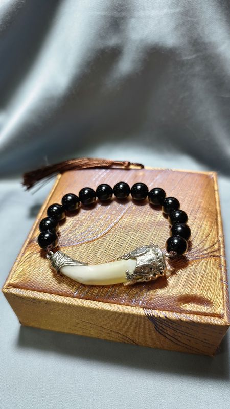 Crocodile Teeth, Real Teeth, Unique Accessories, Obsidian, Fortune-Protecting Bracelet, Tooth Bone Art, Hand-Held Beads for Play