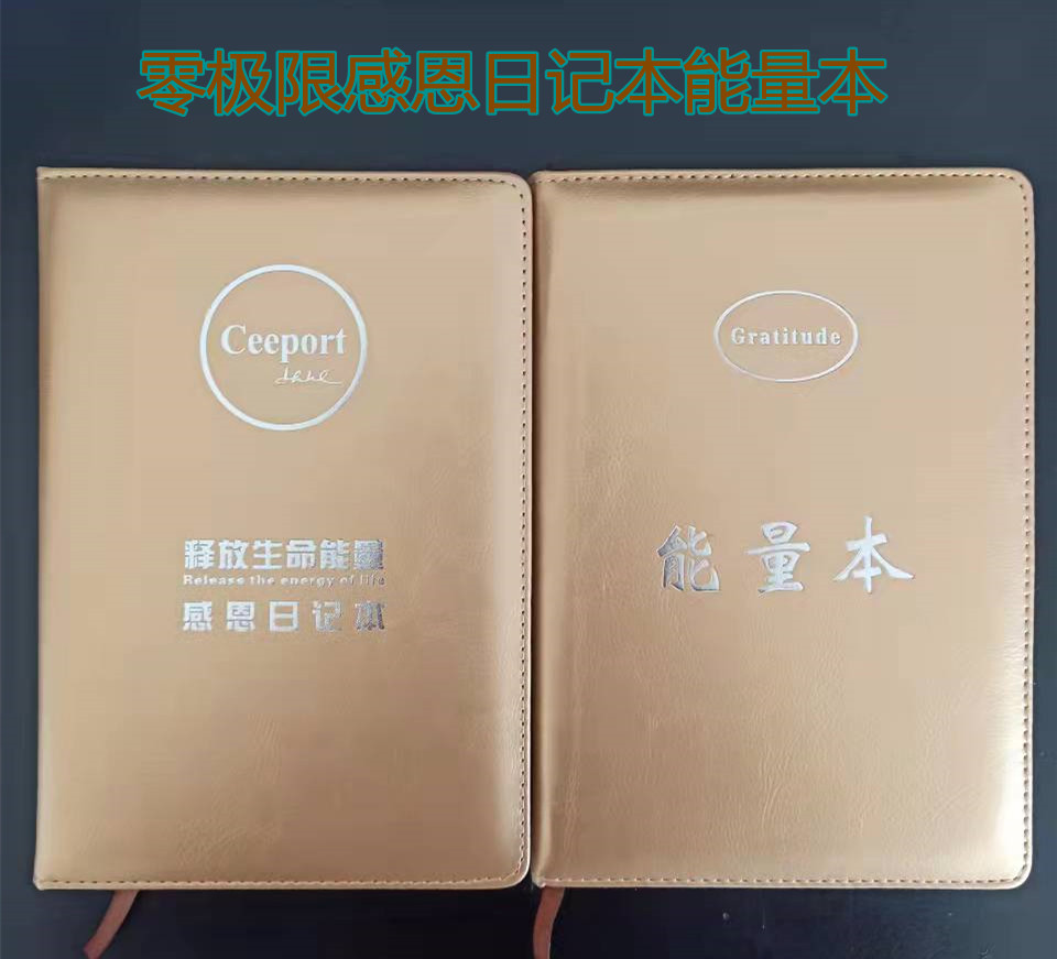 Zero Limit Ceeport Gratitude Diary Thank You I Love You Notepad Student Daily Notebook