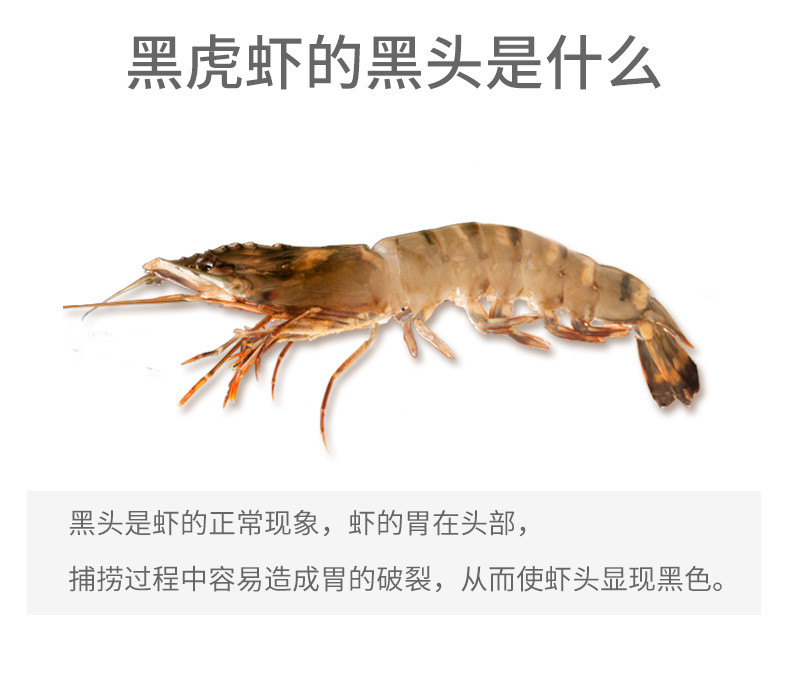 味库 超大冷冻黑虎虾 净含量400g 图5