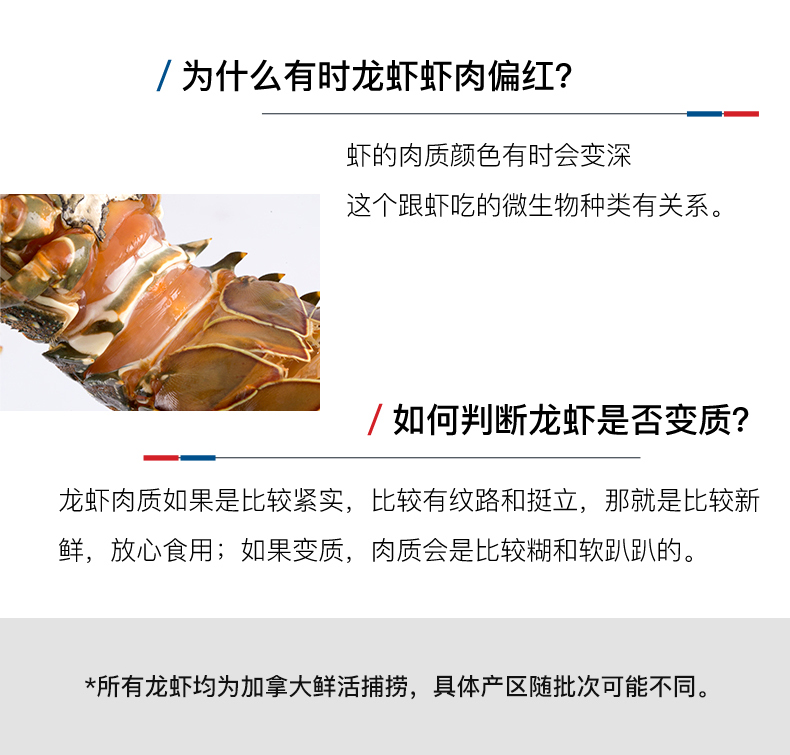 Детали-l-канадский лобстер-фреш-200530-weibu_02_1.2 Catties .jpg