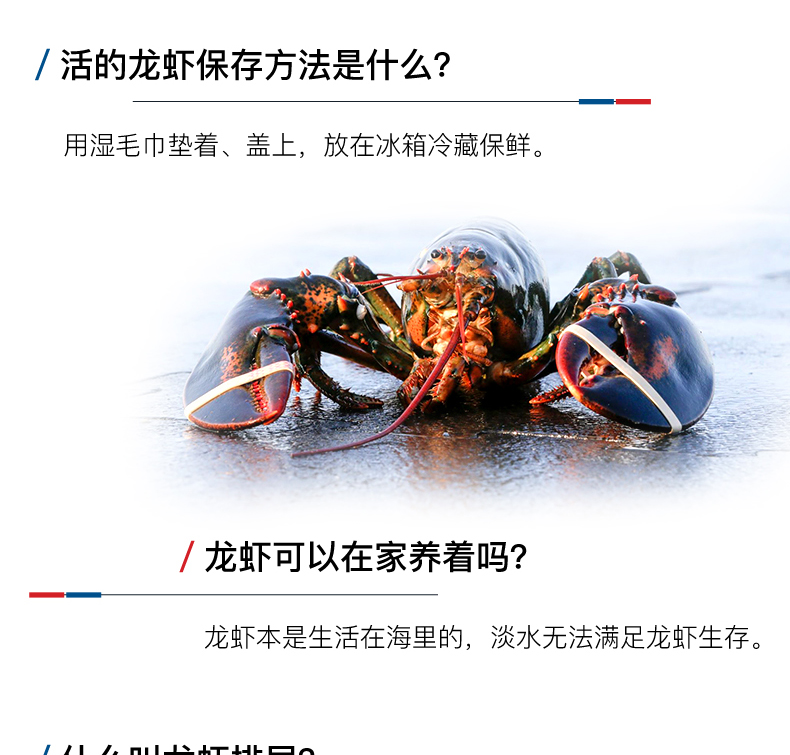 Детали-l-канадский лобстер-FRESH-200530-weibu_19.jpg