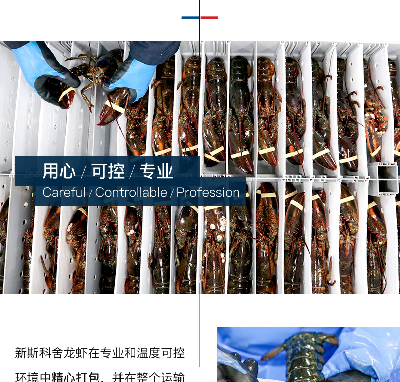 Детали-L-Канадиан Лобстер-Фреш-200530-Weibu_09.jpg