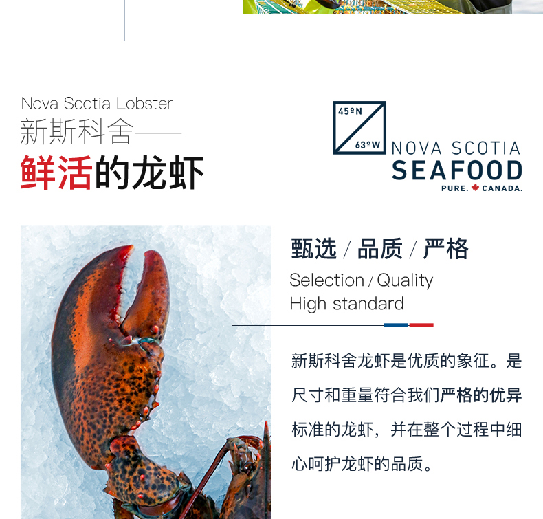 Детали-L-Канадиан Лобстер-Фреш-200530-weibu_07.jpg