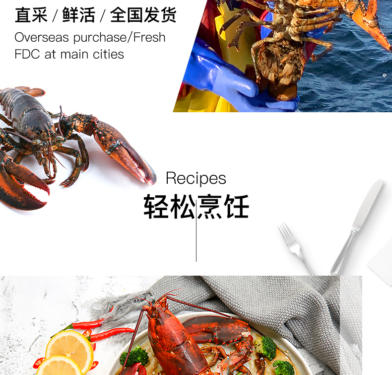Детали-l-канадский лобстер-FRESH-200530-weibu_12.jpg