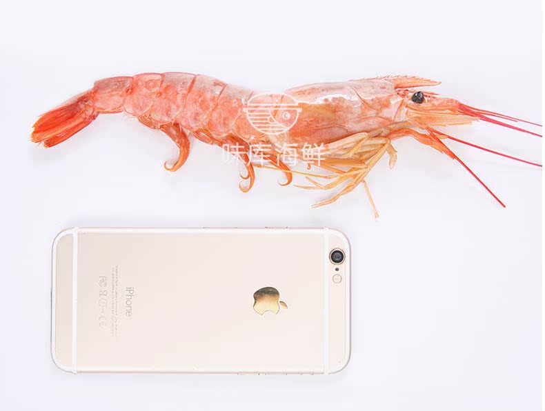 阿根廷进口 新鲜活冻L1号大红虾 2kg 图7