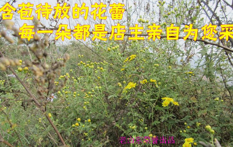Hàng hoá mới từ việc áp dụng cây trồng đầu tiên của Tarzan hoa cúc dại hoa cúc hoa cúc gối Guduo lốp Gối trang bị mua vận chuyển - Gối gối chống trào ngược babieskey