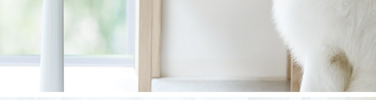 quat cay Netease chọn nghiêm ngặt Netease để tạo ra quạt chuyển đổi tần số cực kỳ yên tĩnh Quạt lắc đầu điều khiển từ xa tiết kiệm năng lượng - Quạt điện quạt cầm tay