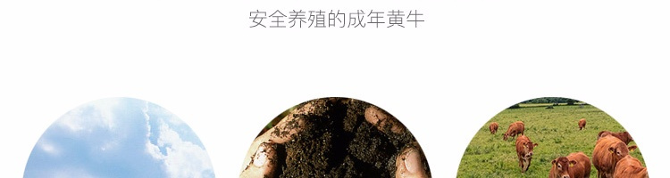 网易严选五香麻辣手撕牛肉200g