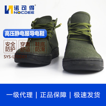 Hot pin Westwell 500KV high pressure electrostatic clothing Shielded Clothing Special Conductive Shoes Sails Cloth Shoes Labor supplies