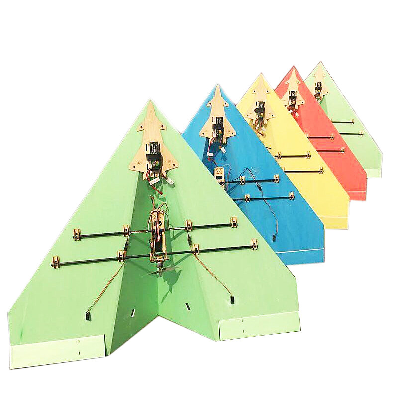 Pandora Remote Control Triangle - Wing Aircraft Guangdong Air Model Championship designated equipment