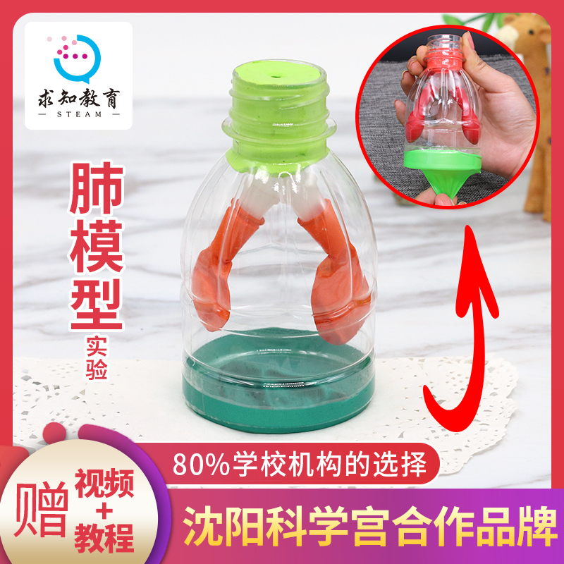 Lung Model Science Experiment Set for Kindergarten and Primary School Students, Lung Breathing Exercise Teaching Model Toy Making Materials Lung Model Science Experiment Set for Kindergarten and Primary School Students, Lung Breathing Exercise Teaching Model Toy Making Materials