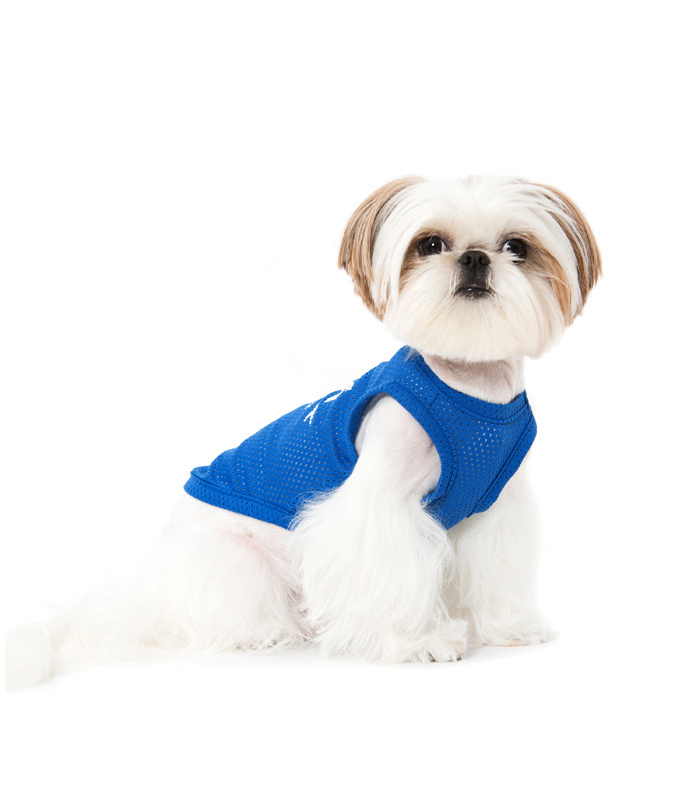 Áo vest lưới hè xuân hè 2019 với hai màu sắc tùy chọn quần áo chó thời trang đường phố Quần áo thú cưng Hàn Quốc | Sniff - Quần áo & phụ kiện thú cưng 	áo dành cho chó mèo