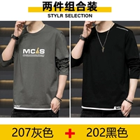 207 серый +202 черный