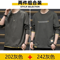 202 серый +242 серый