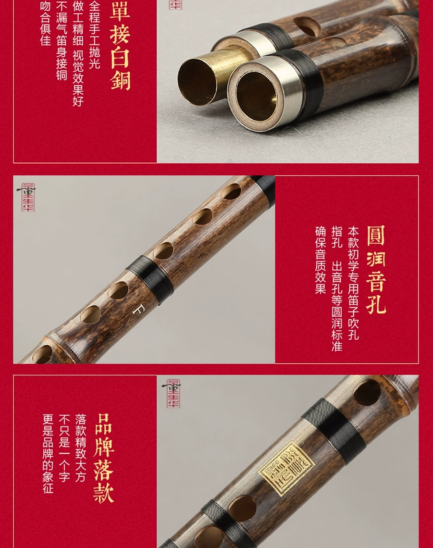 Dong Shenghua Sáo Zizhu sáo chuyên nghiệp Người mới bắt đầu thổi sáo chấm điểm bắt đầu bằng không nhạc cụ sáo sinh viên cơ sở - Nhạc cụ dân tộc