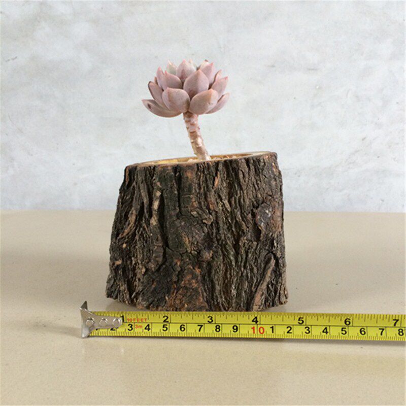 Succulents wood flower pot Natural wood stump Creative solid wood flower pot Wood wooden original ecological flower pot