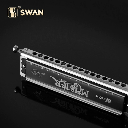 天鹅 Новый 1664 Black Swan 12 -Hole 16 -Hole Half -Stews Beginters популяризировали фортепианную подпись бесплатная доставка