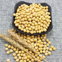 Manquan River soybean grains new soybeans Northeast soybean bean sprouts soy milk special yellow beans 5kg