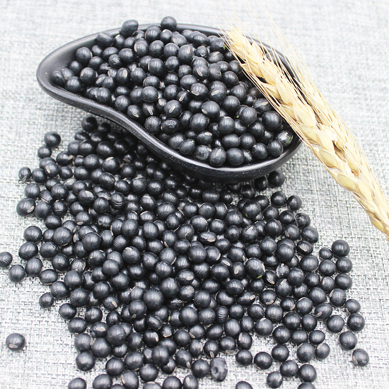 Manga River Black Bean Northeast Green Core Black Bean Small Black Bean Sprout Soy Milk Heilongjiang farmhouse self-produced 5 catties