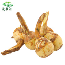 Manquan River White Sage Mushroom 5 Jin Yunnan Baicang fresh vegetables swallowtail grass white horseshoe fresh Cicu