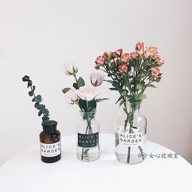 Young Girl Hearts Release Room Nordic Small Brown Bottles Vases Ins Retro Transparent Glass Bottles Flower Arrangement Photo Props
