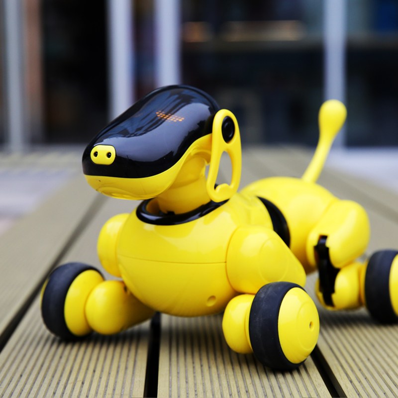 dog remote toy