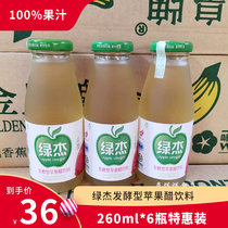 Green Jie Apple Vinegar Fermented Beverage Box 15 Bottle Apple Juice 100% Fruit Vinegar Honey Drink Glass Bottle